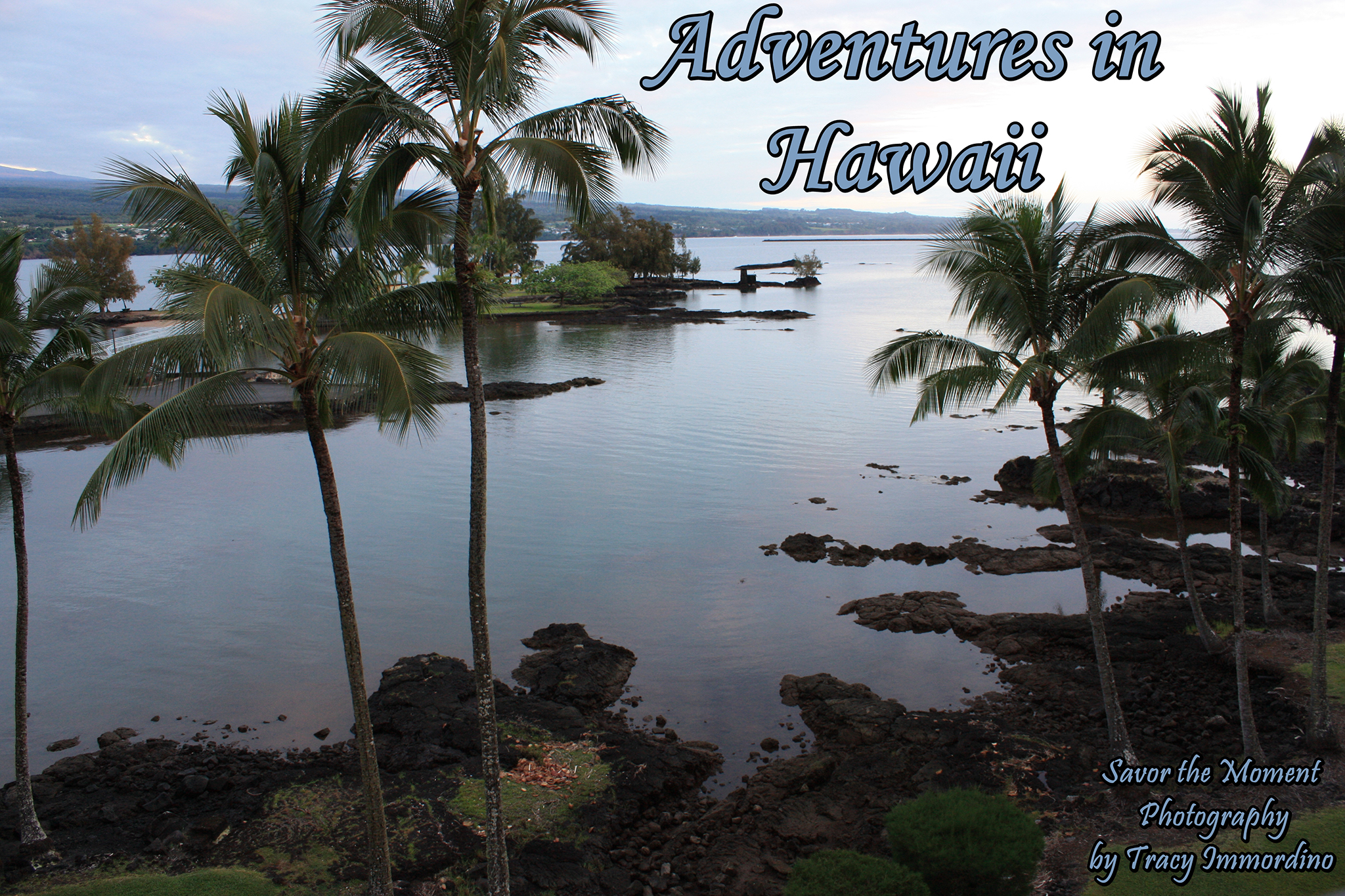 View from Castle Hilo in Hawaii
