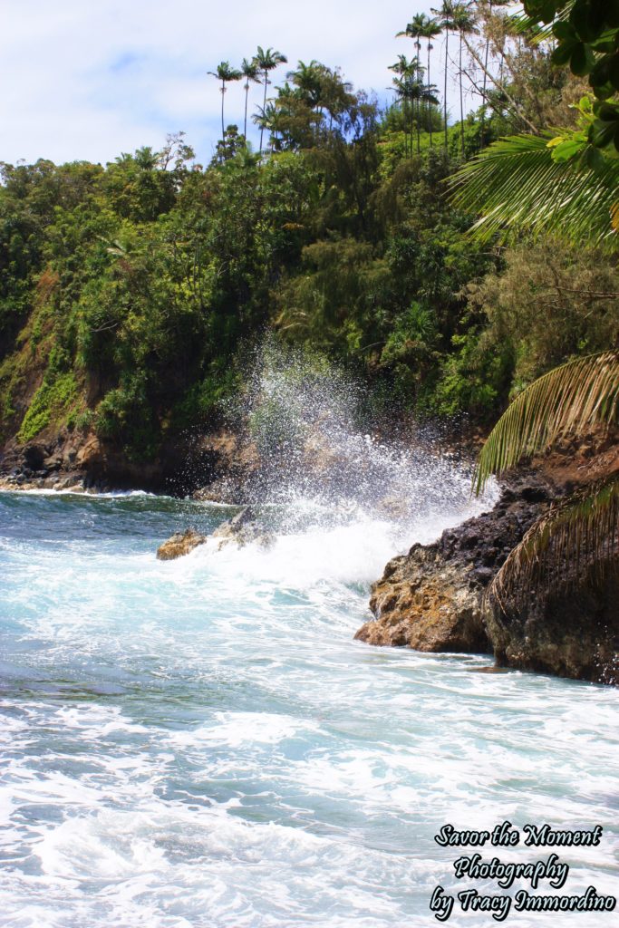 Onomea Bay, PapaiKou, HI