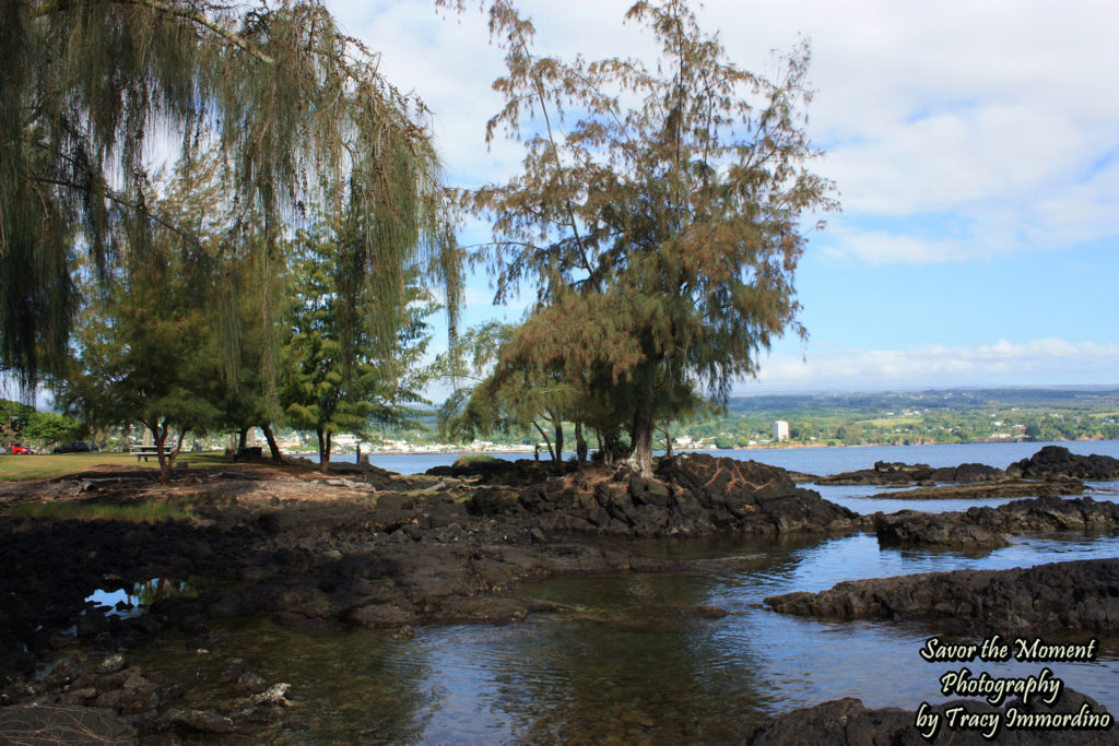 Lava Rock Beach in Hilo, Hawaii