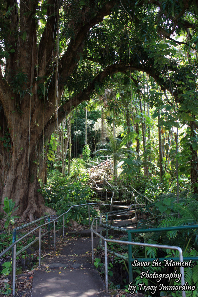 Wailuku River State Park