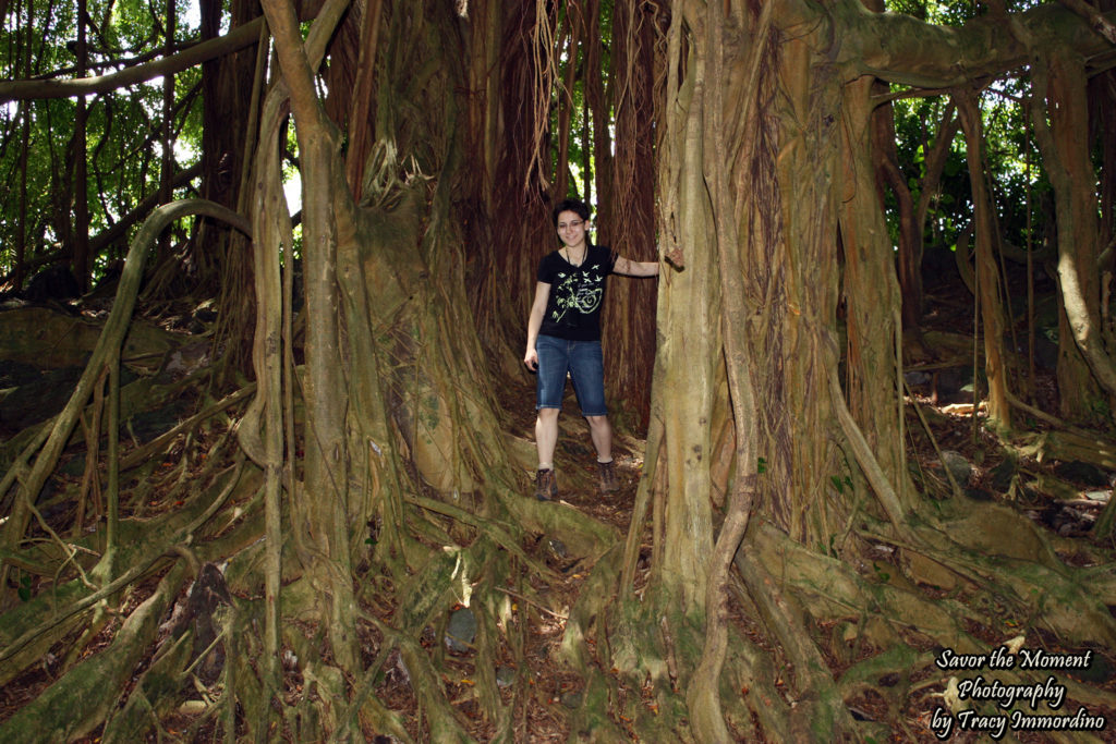 Playing in the Banyan Trees