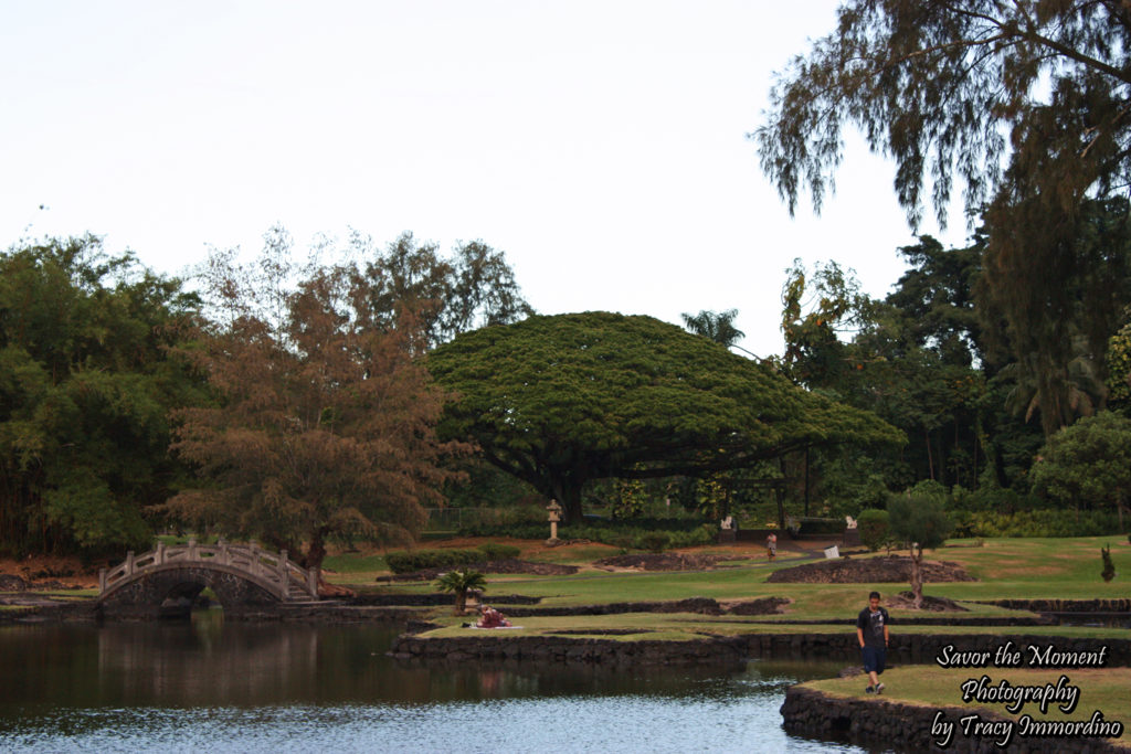 Liliuokalani Park in Hilo, Hawaii