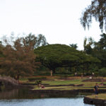 Liliuokalani Park in Hilo, Hawaii