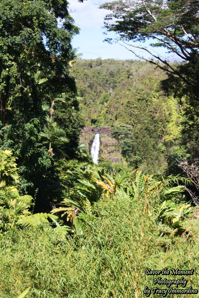 First glimpse of Akaka Falls
