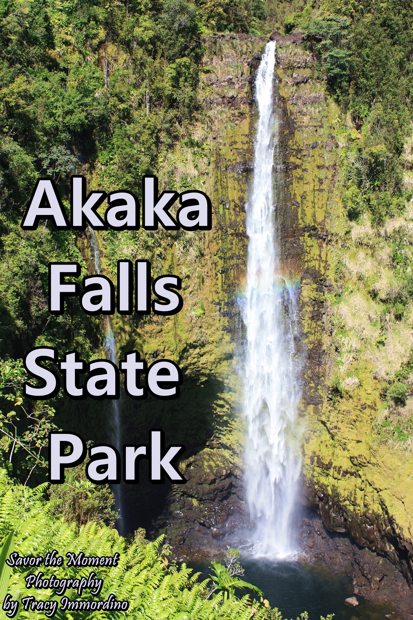 Akaka Falls State Park