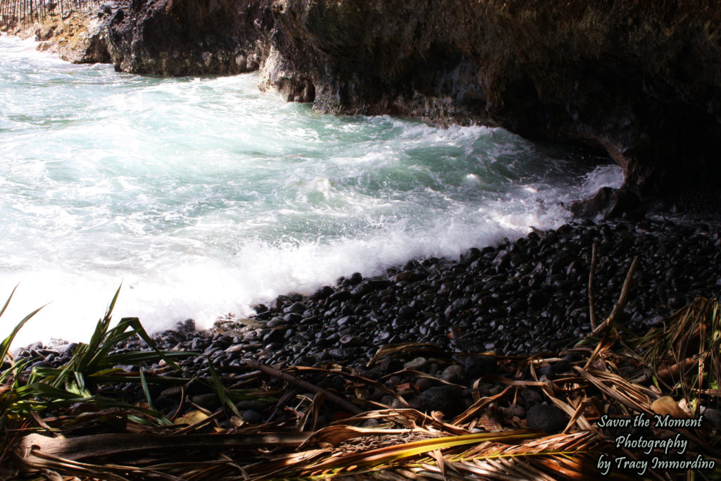 Shoreline of Onomea Bay