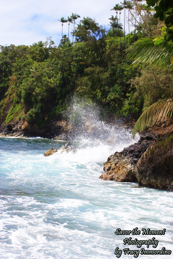 Waves Crashing at Onomea Bay