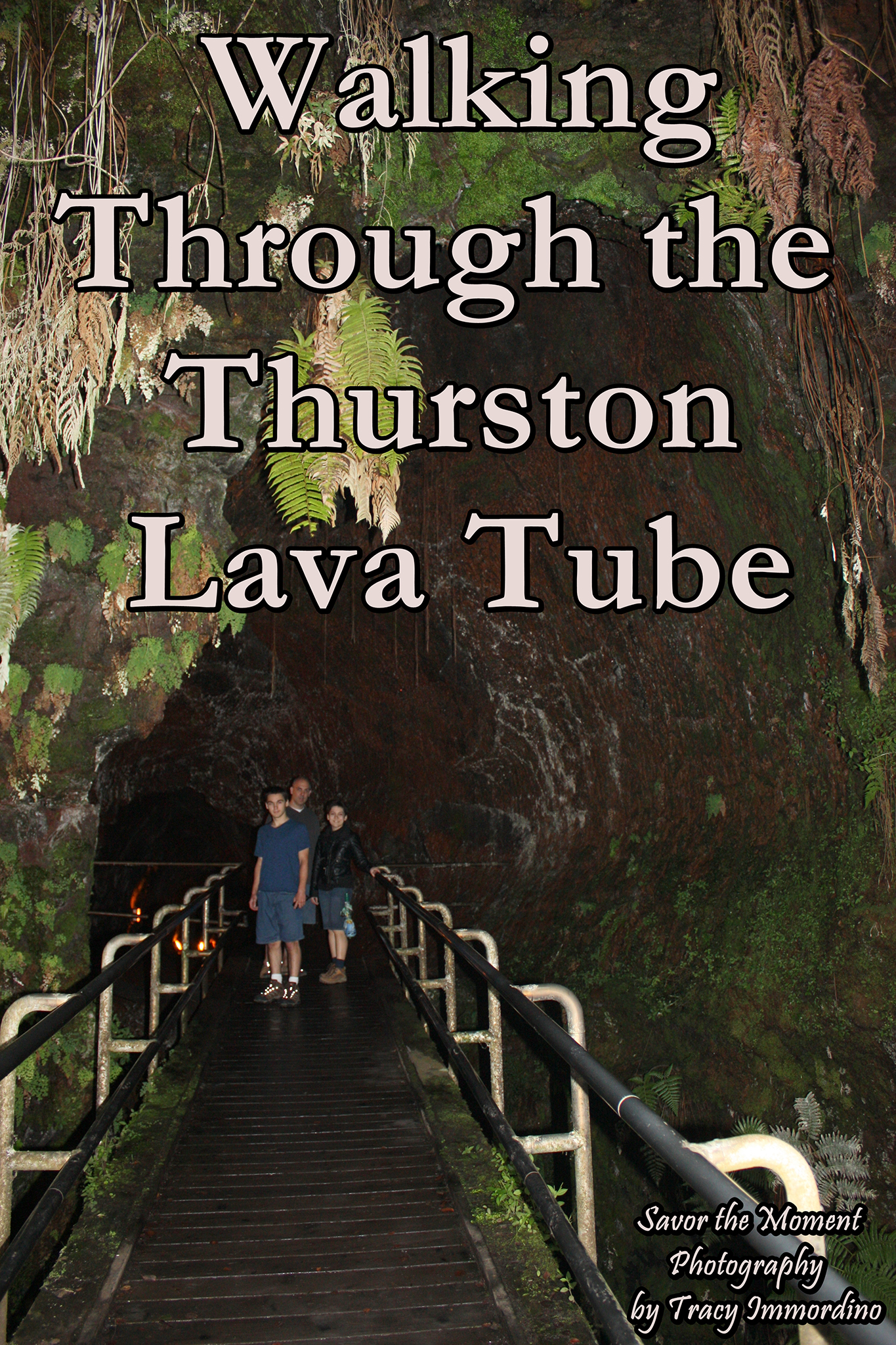 Walking Through the Thurston Lava Tube