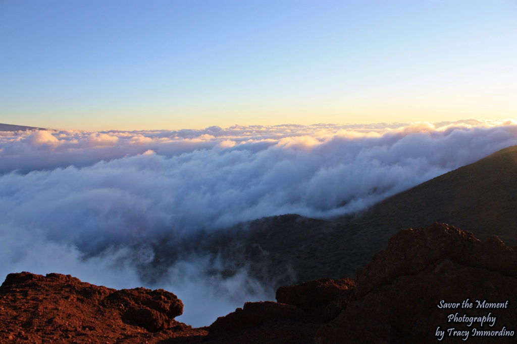 Above the Clouds on Mauna Kea