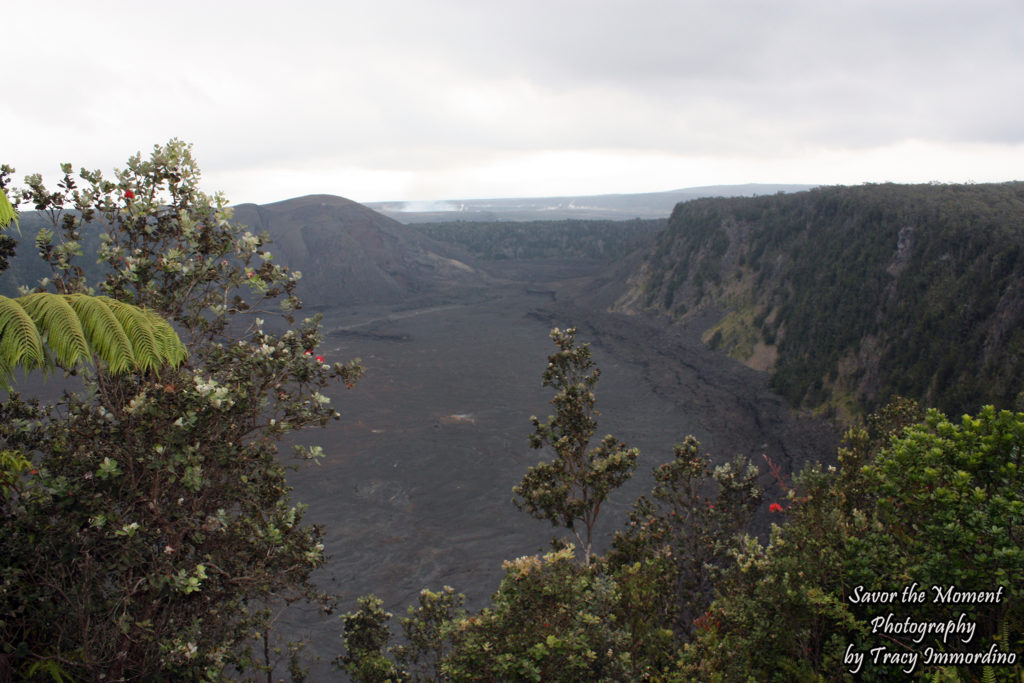 Kilauea Iki Overlook