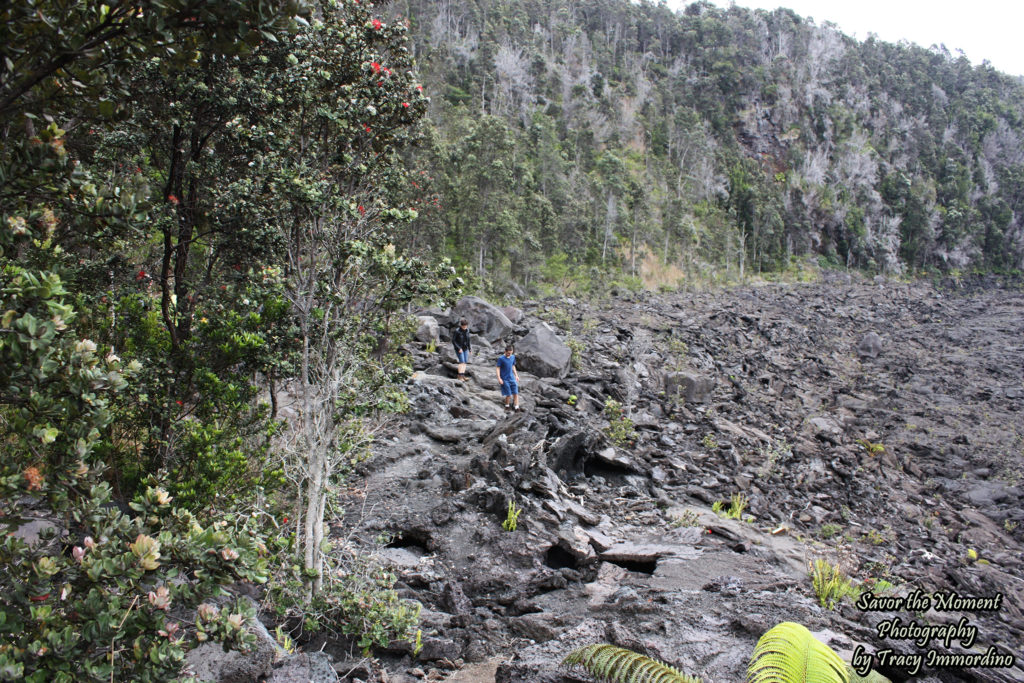 The "Trail" Leading Down to the Floor of Kilauea Crater