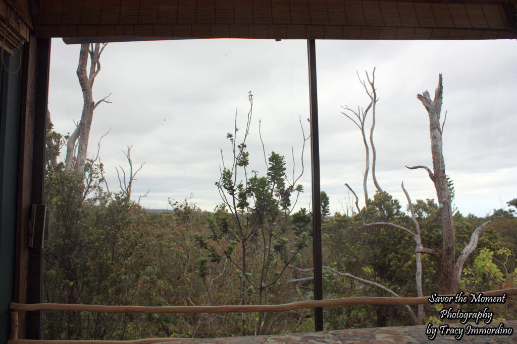 View from the Main Bedroom