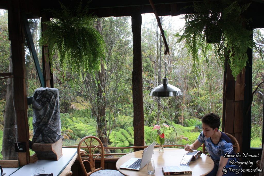 Dining Area in the Treehouse