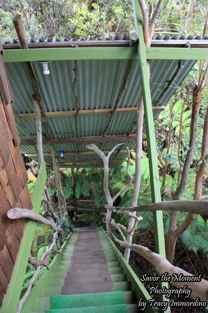 Stairs to the Treehouse