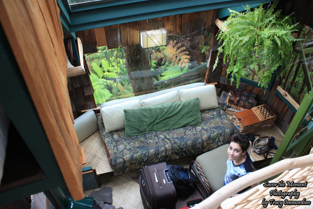 Living Room of the Treehouse