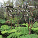 Sleeping in a Treehouse Near Volcanoes National Park