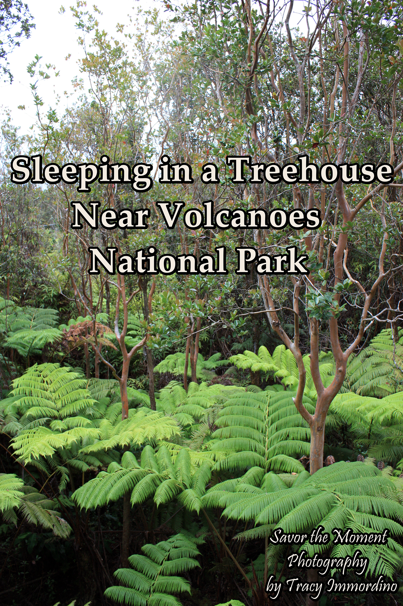 Sleeping in a Treehouse Near Volcanoes National Park