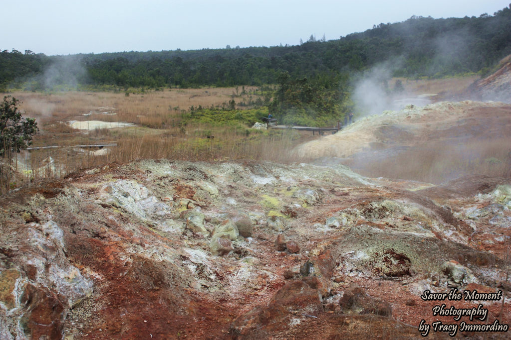 Sulphur Banks