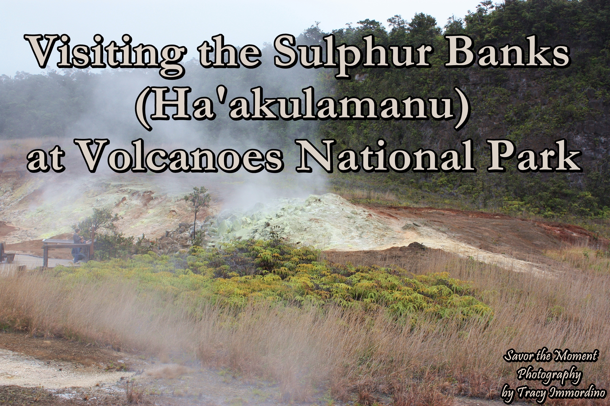 Visiting Sulphur Banks (Ha'akulamanu) at Volcanoes National Park