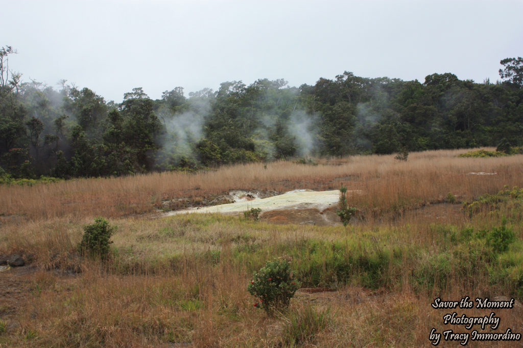 Grasslands at Ha'akulamanu (Sulphur Banks)