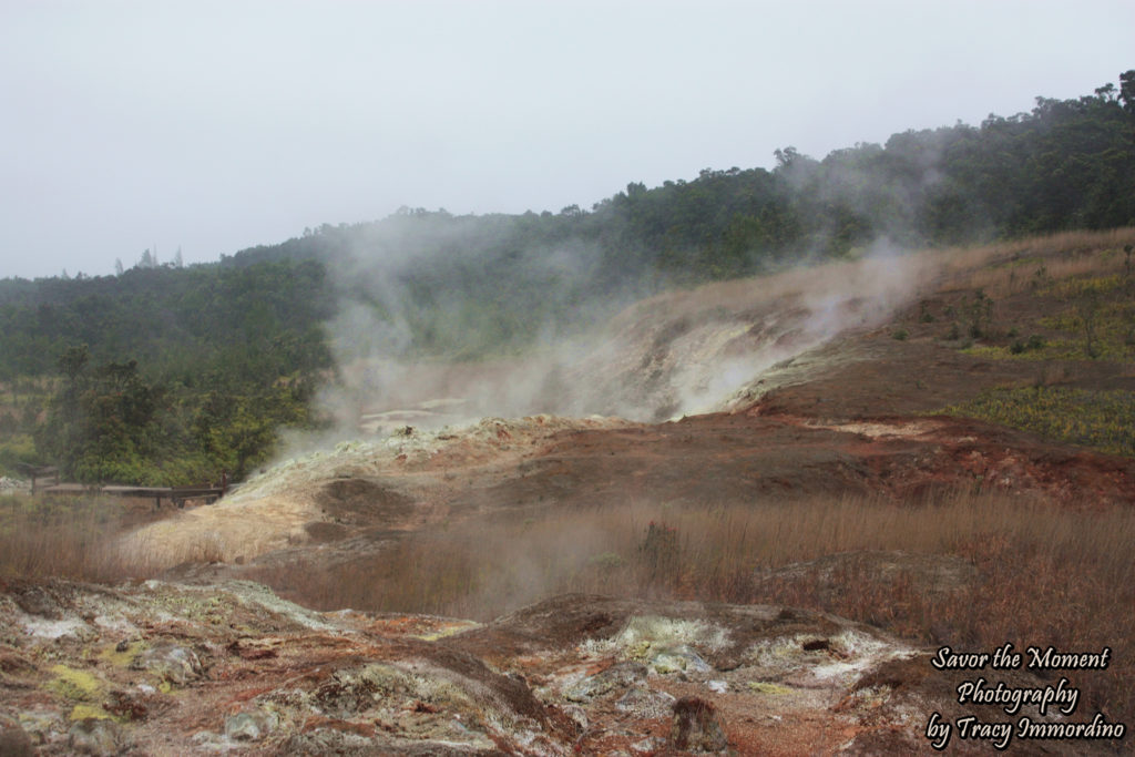 Steam Rising at the Sulphur Vents