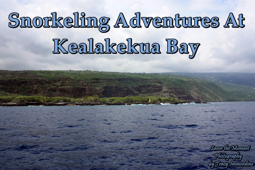 Snorkeling Adventures At Kealakekua Bay