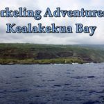 Snorkeling Adventures At Kealakekua Bay