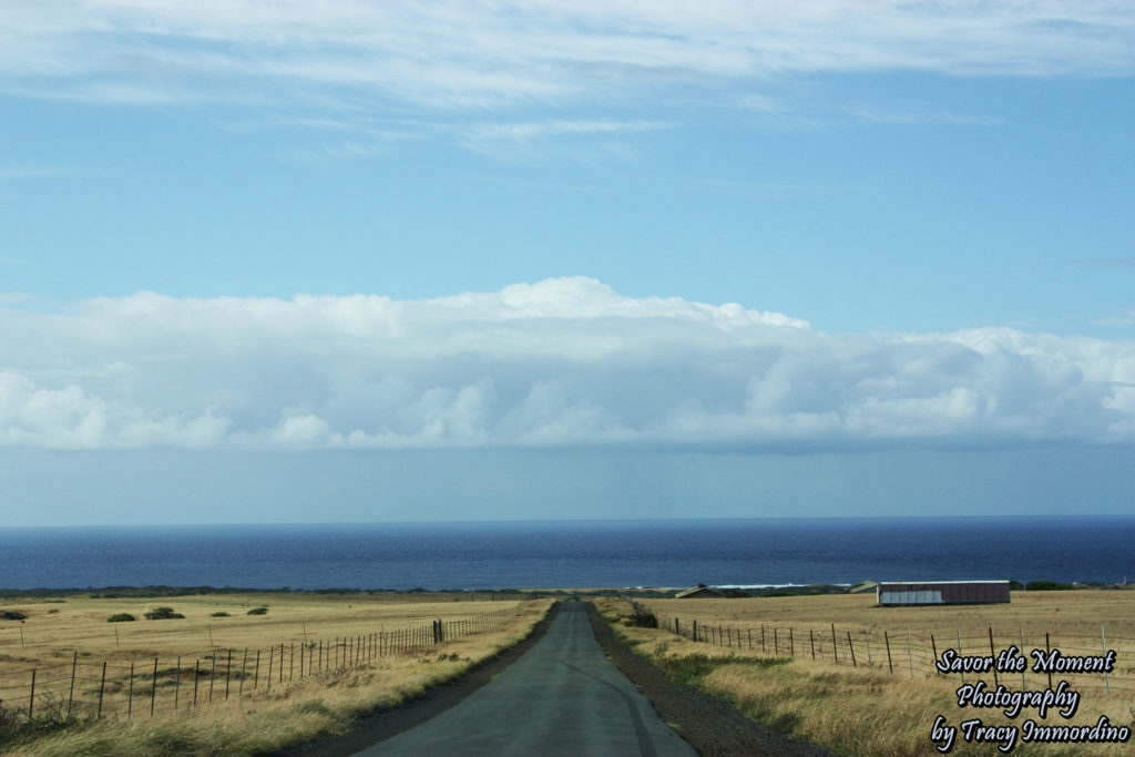 Driving to the Green Sand Beach