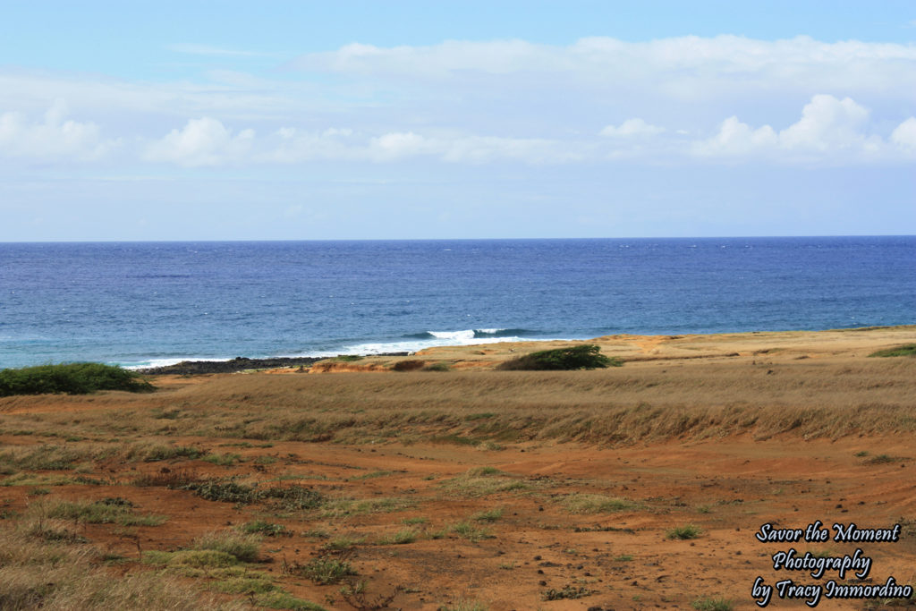 Shoreline near the parking lot for the Green Sand Beach