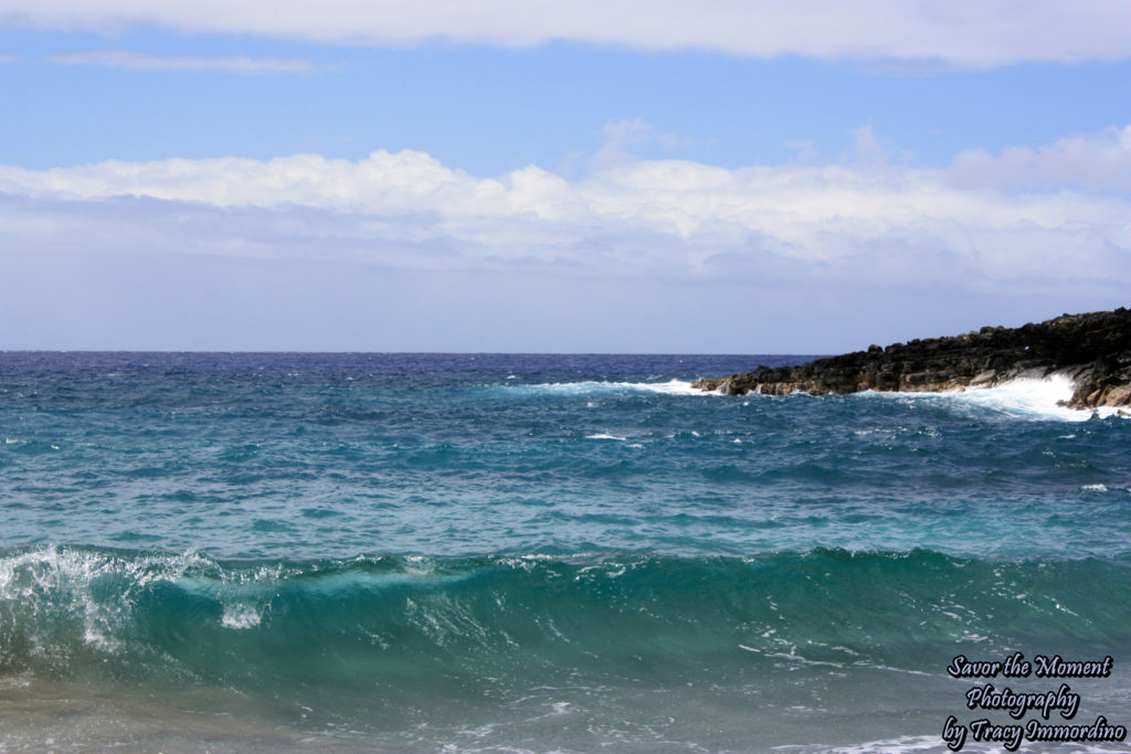 So many shades of blue!