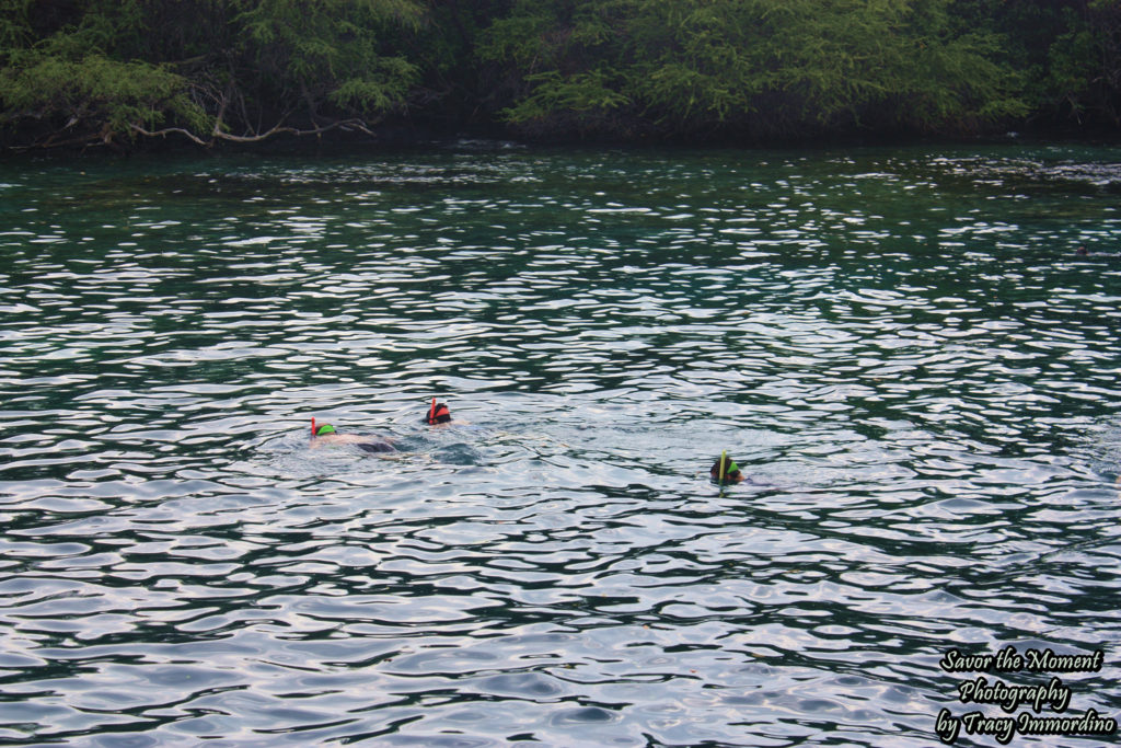 Family Fun Snorkeling