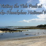 Visiting the Tide Pools at Kaloko-Honokohau National Park