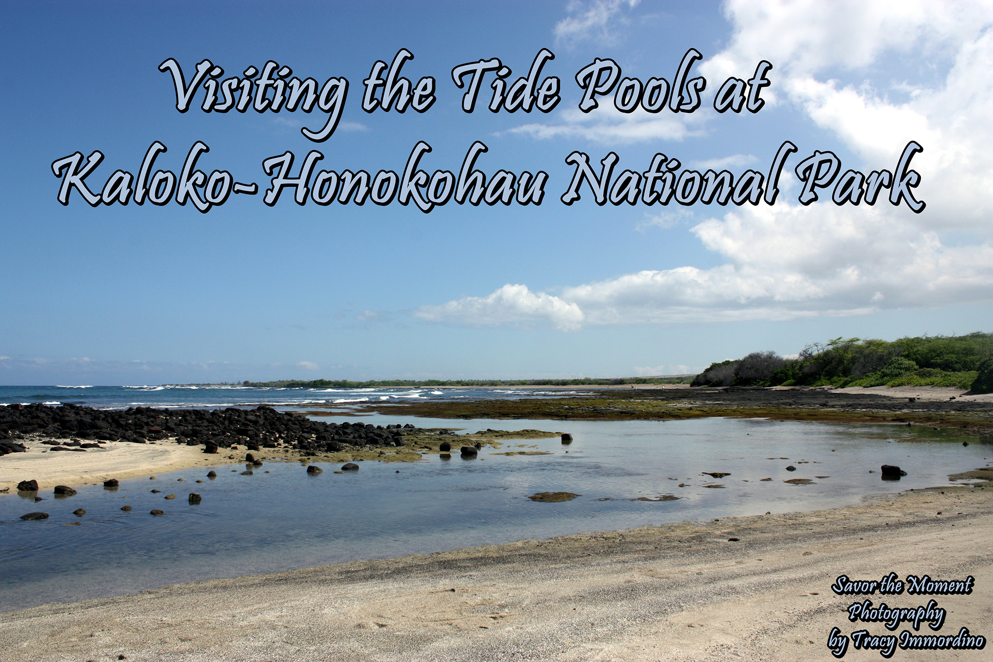 Visiting the Tide Pools at Kaloko-Honokohau National Park