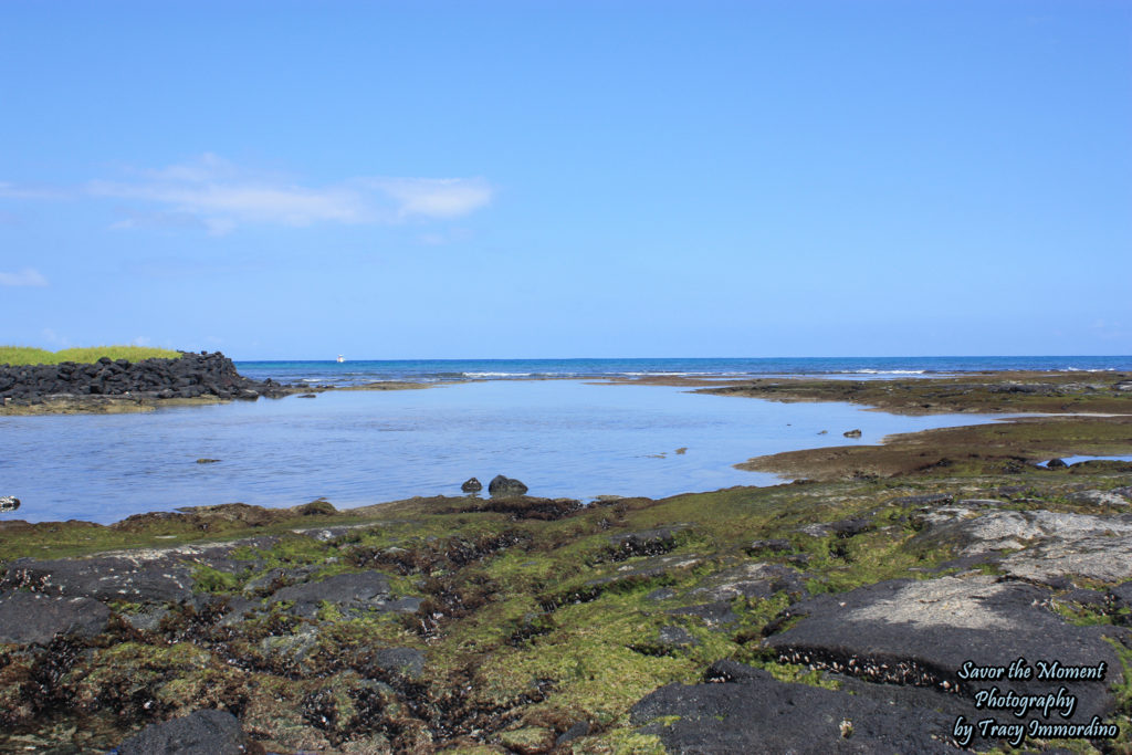 Low Tide at Kaloko-Honokohau