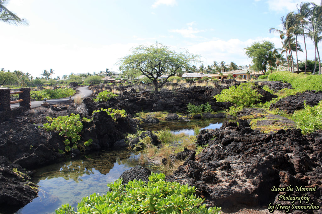 The Grounds at the Waikoloa Beach Marriott Resort