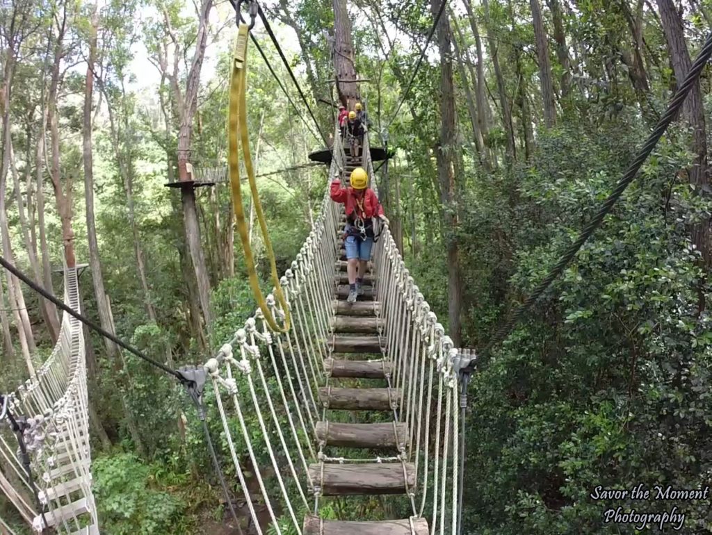 Sky bridge at Kohala Zipline