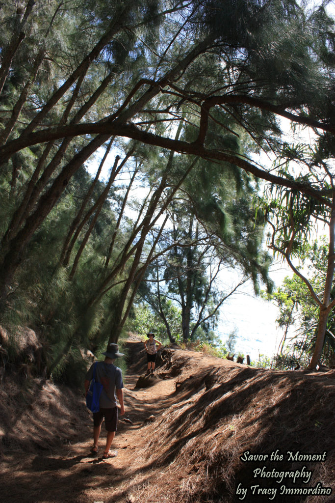 An Easy Section of the Pololu Valley Trail
