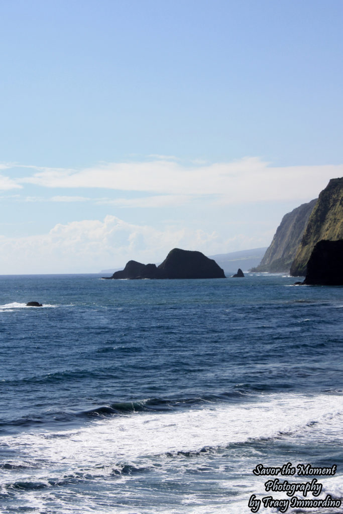 The Northern Kohala Coast