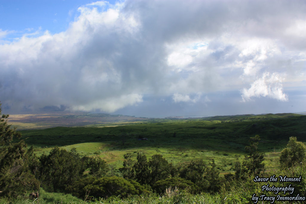 A View from Kohala Mountain Road