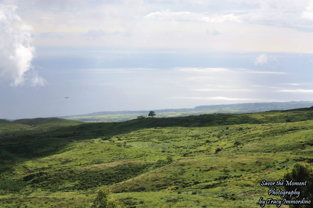 A View from Kohala Mountain Road