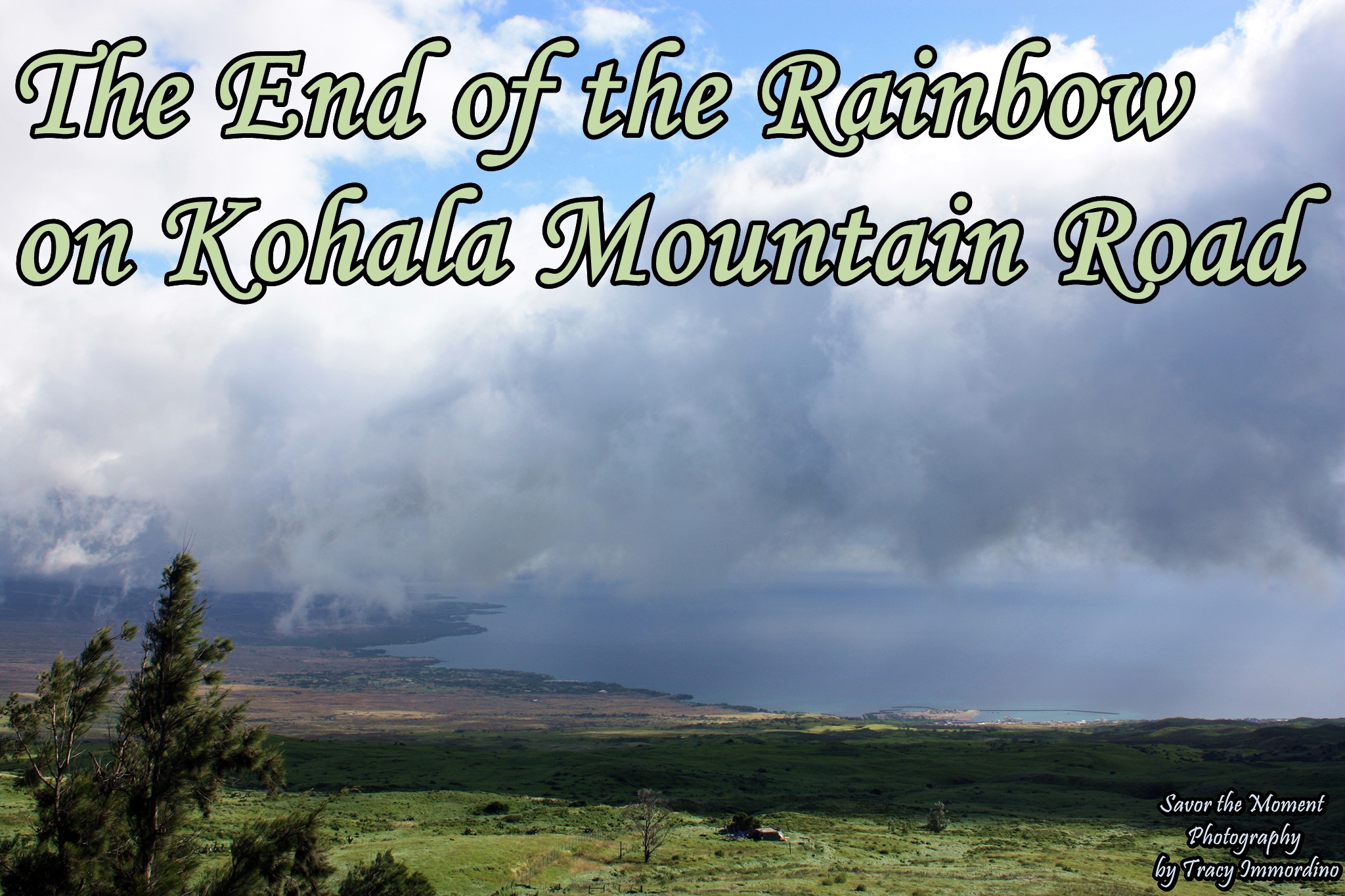 The End of the Rainbow on Kohala Mountain Road