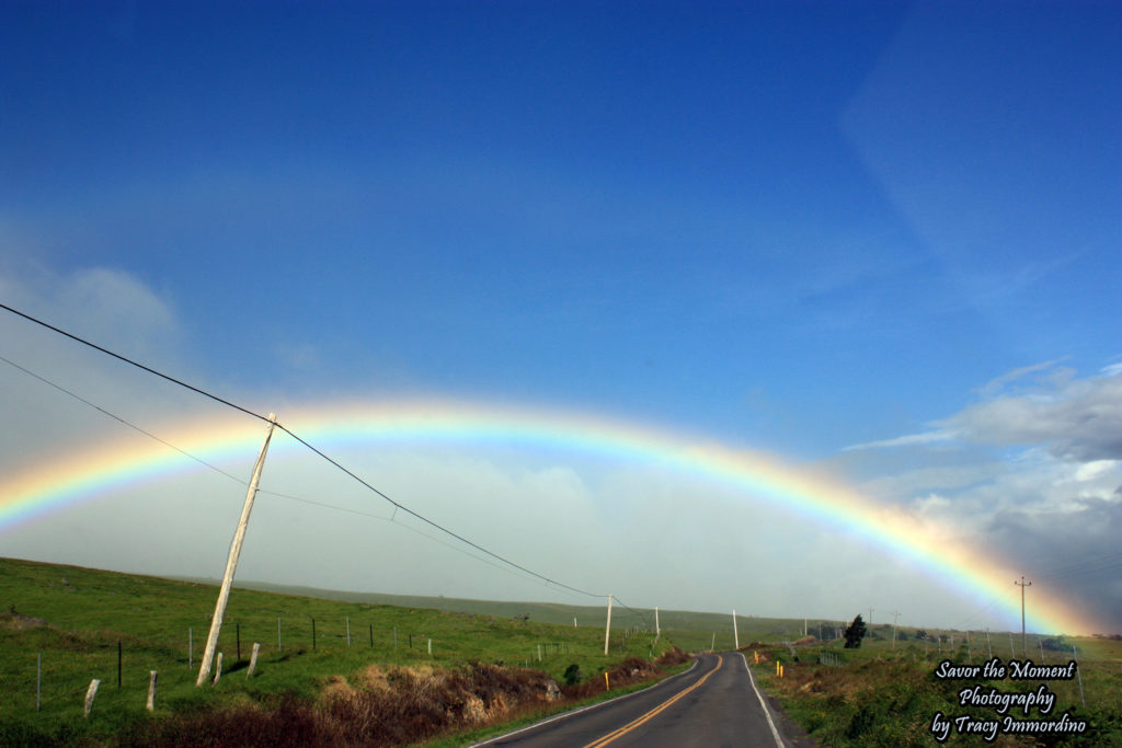 Driving Under a Rainbow