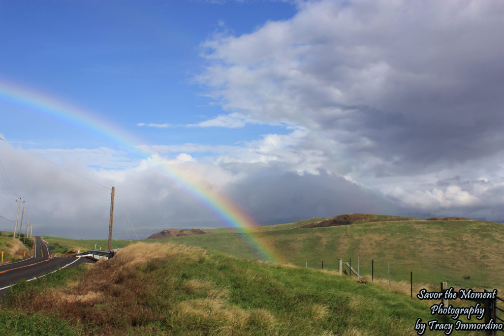 The End of the Rainbow