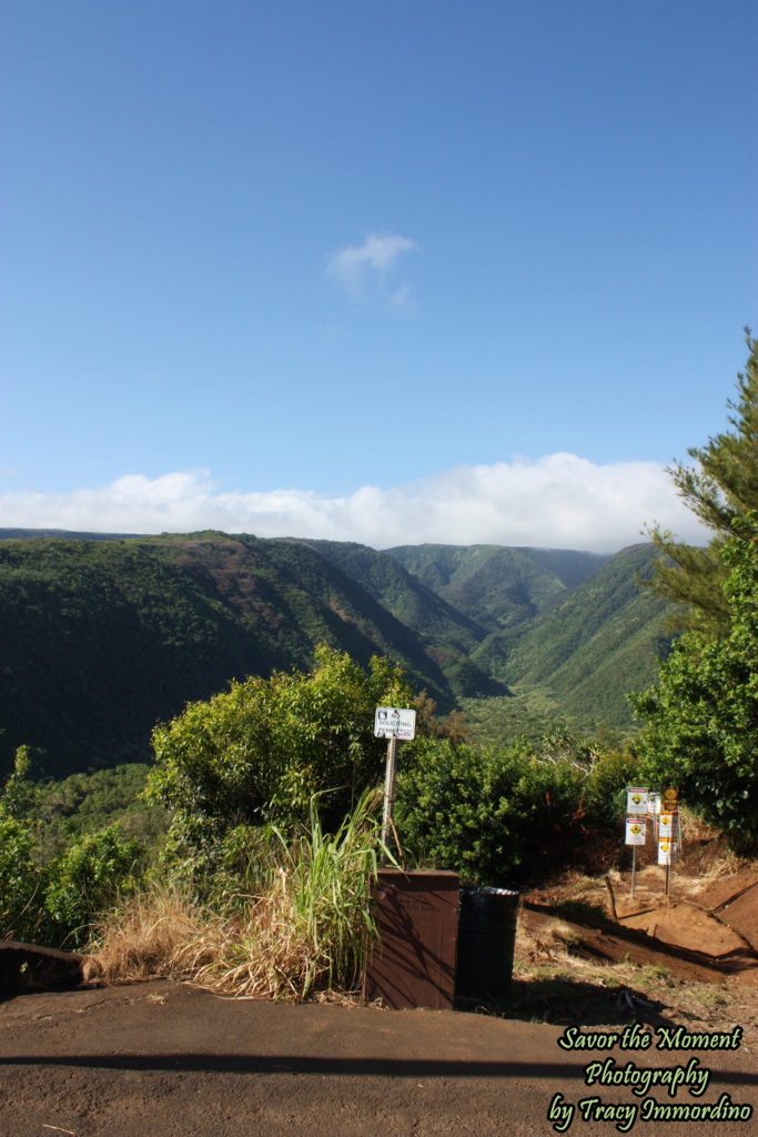 The Beginning of the Pololu Valley Trail