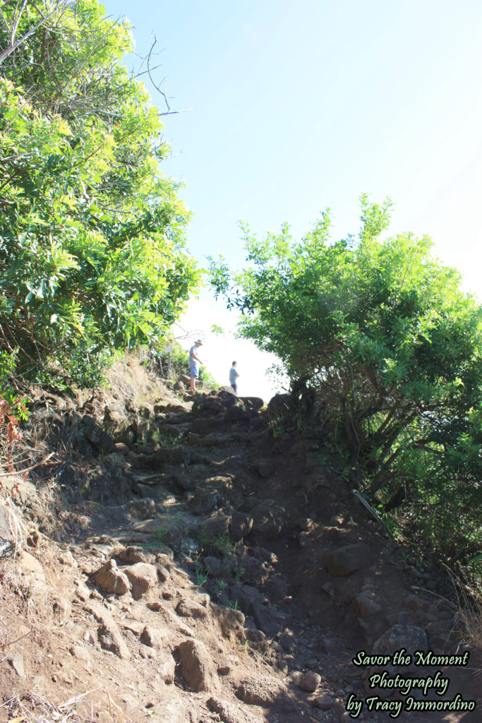 The Difficult Part of Pololu Valley Trail