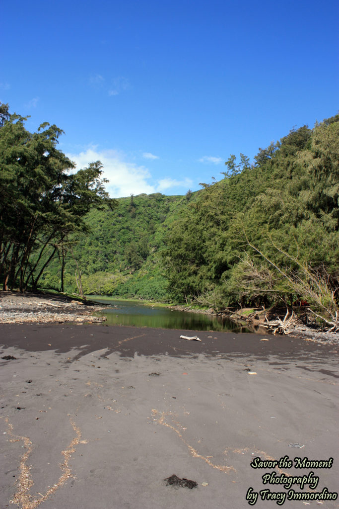 The End of the Pololu Valley Trail