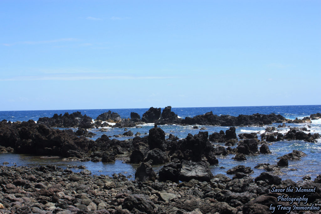 Laupahoehoe Point