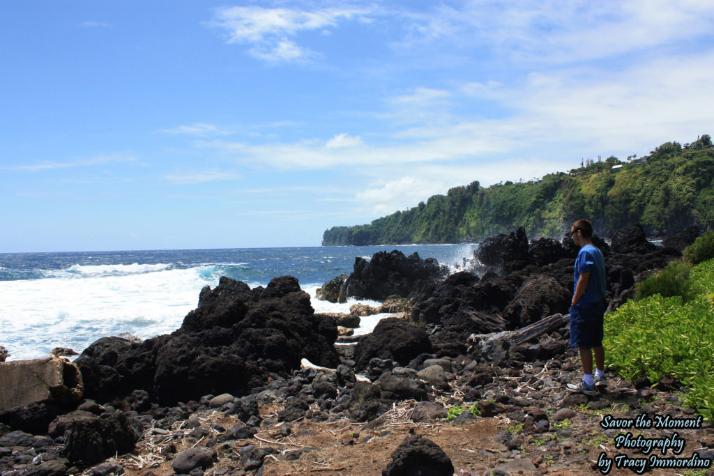 Hamakua Coastline at Laupahoehoe Point