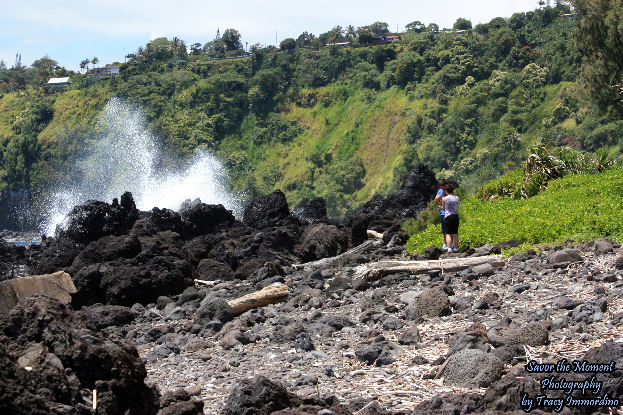 Hamakua Coast Scenic Drive - Savor the Moment Photography