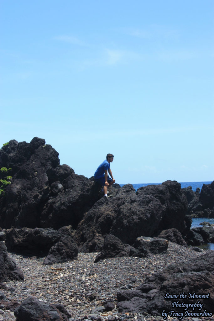 Watching the Waves at Laupahoehoe Point